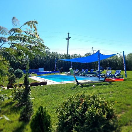 Casa Cu Trandafiri Murighiol Dış mekan fotoğraf
