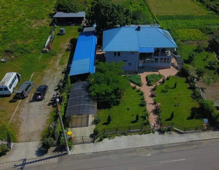 Casa Cu Trandafiri Murighiol Dış mekan fotoğraf