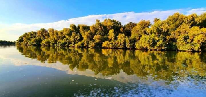 Casa Cu Trandafiri Murighiol Dış mekan fotoğraf