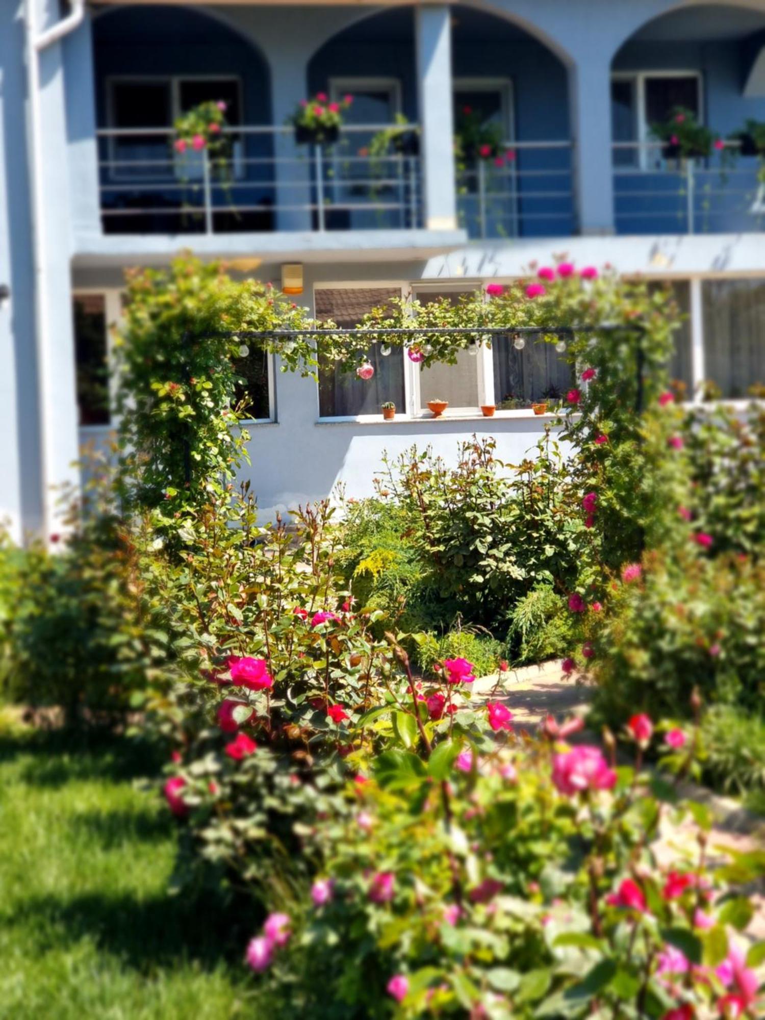Casa Cu Trandafiri Murighiol Dış mekan fotoğraf