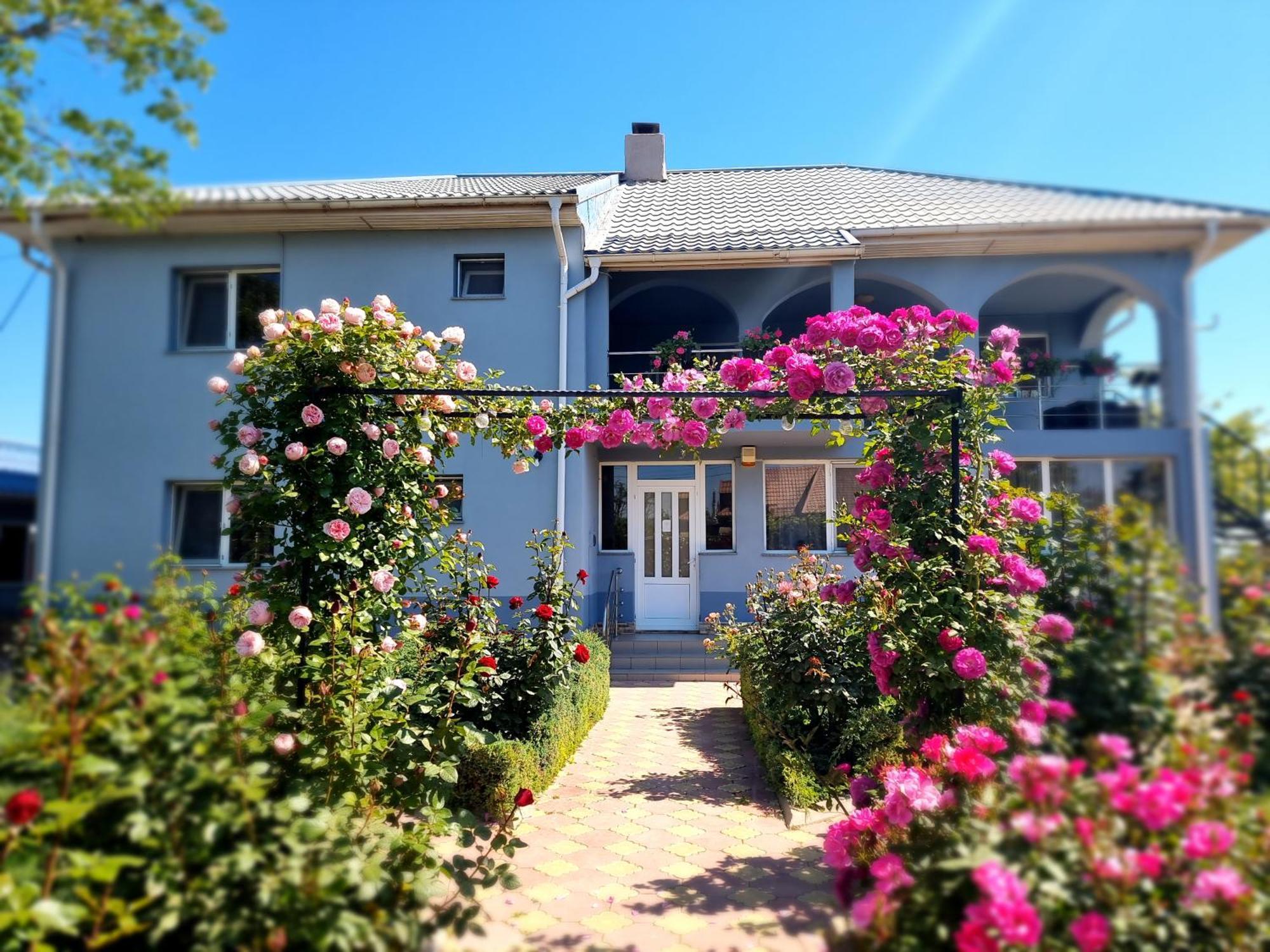 Casa Cu Trandafiri Murighiol Dış mekan fotoğraf