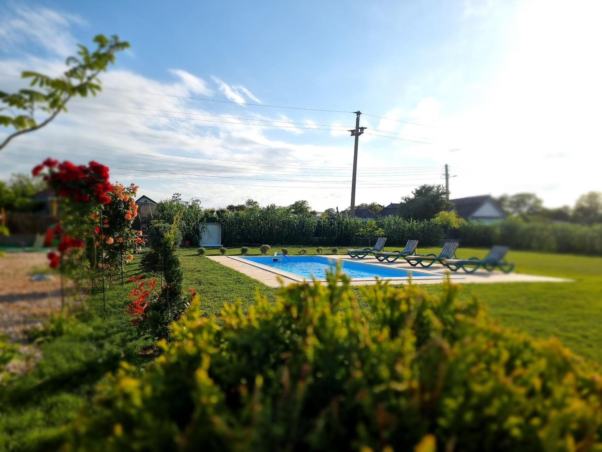 Casa Cu Trandafiri Murighiol Dış mekan fotoğraf