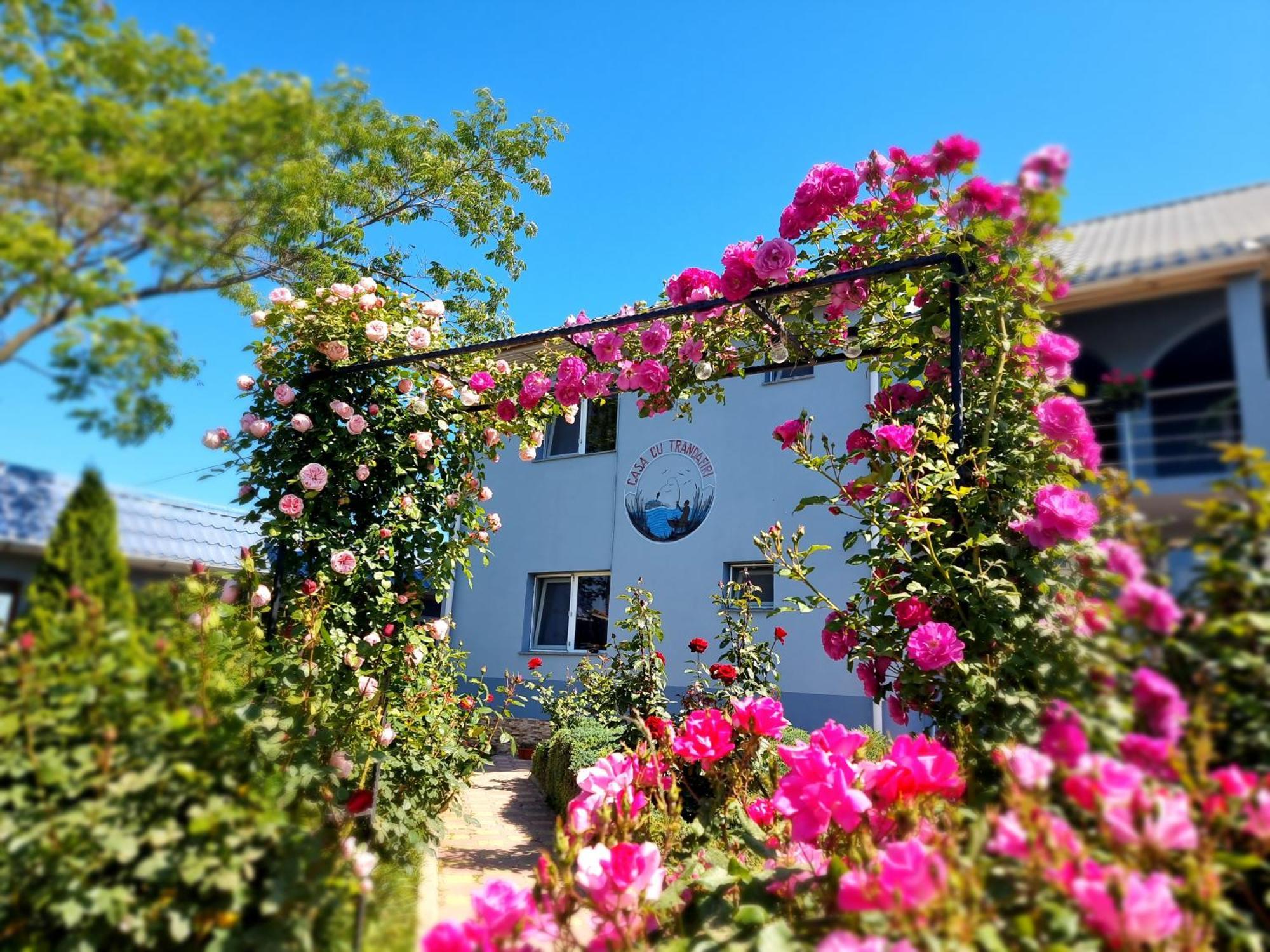 Casa Cu Trandafiri Murighiol Dış mekan fotoğraf