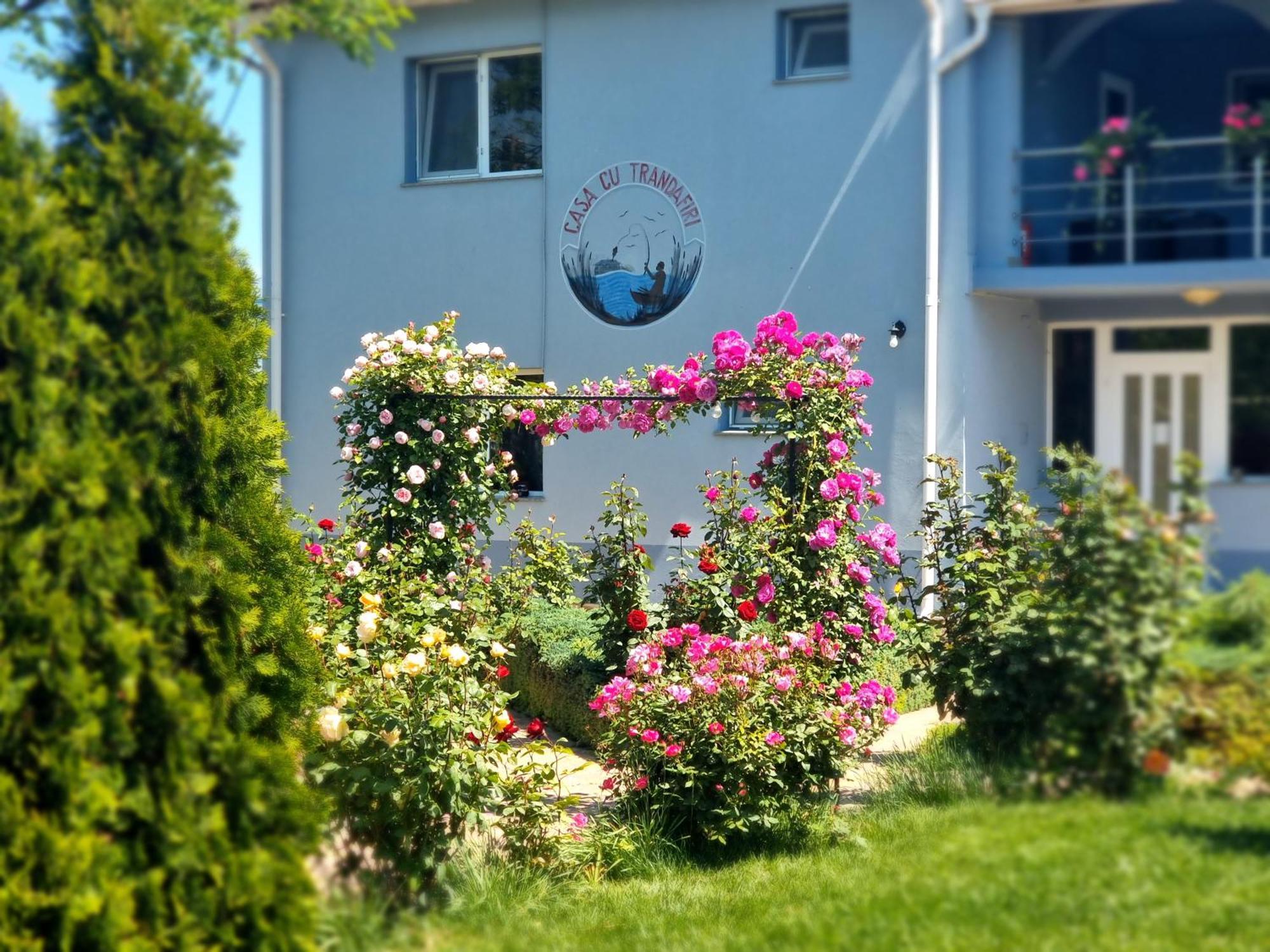 Casa Cu Trandafiri Murighiol Dış mekan fotoğraf