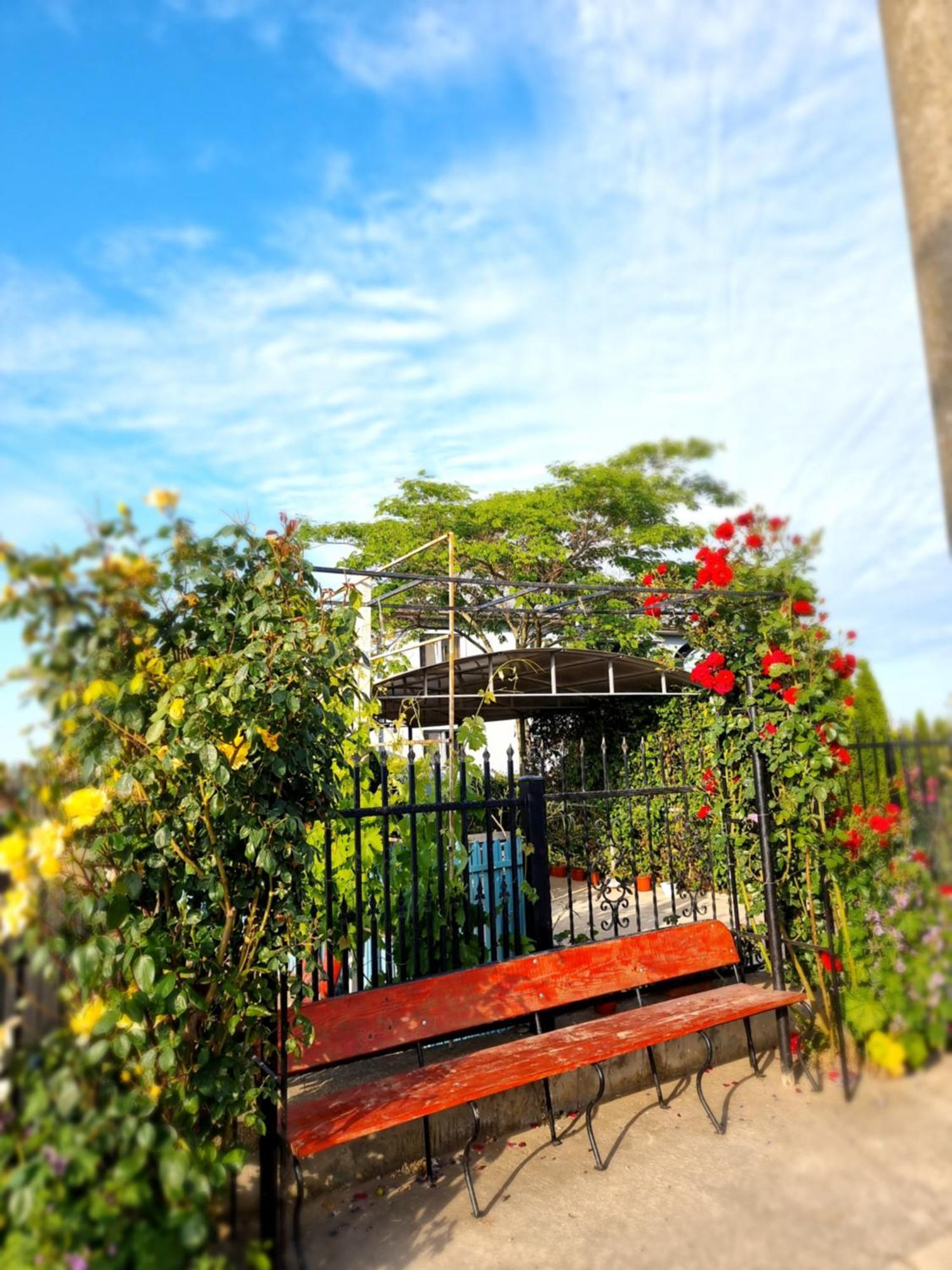 Casa Cu Trandafiri Murighiol Dış mekan fotoğraf