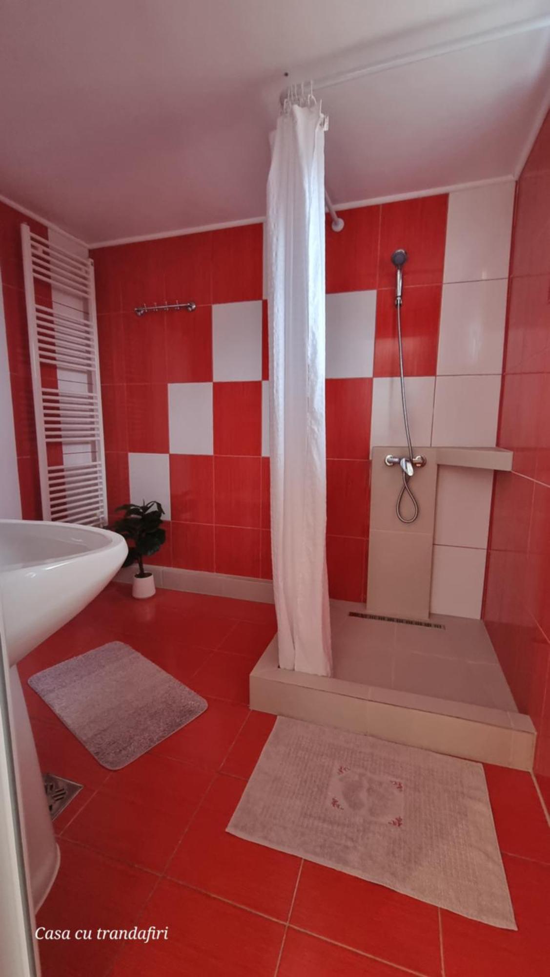 Casa Cu Trandafiri Murighiol Dış mekan fotoğraf